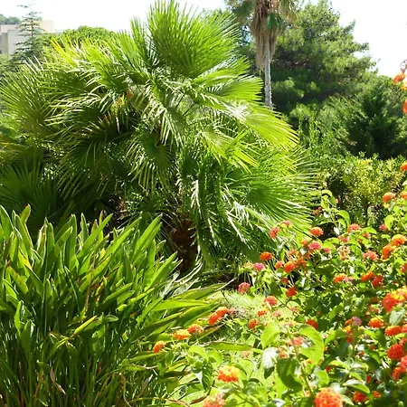 La Pinede
