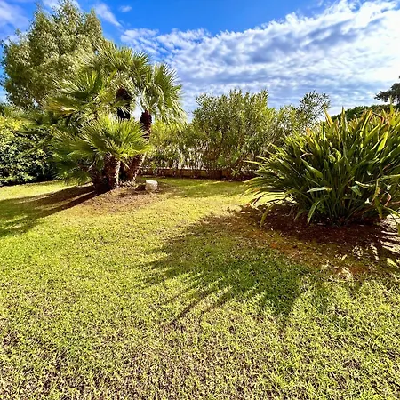 La Pinede 아작시오