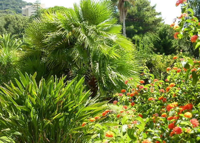 La Pinede